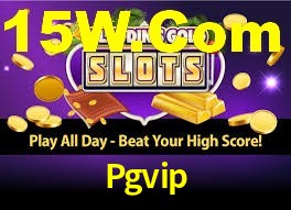 Premium Interface Pgvip