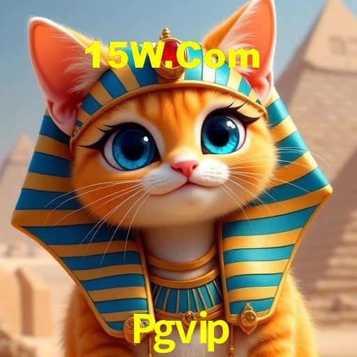 Interface do App Pgvip